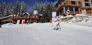 ski