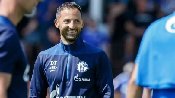 domenicotedesco