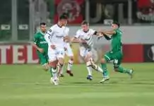 ludogorets bayer