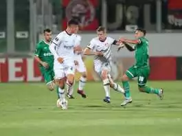 ludogorets bayer