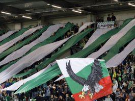 ludogorets fenove