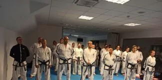 taekuondo seminar