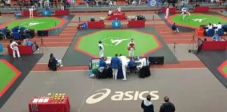 European taekwondo