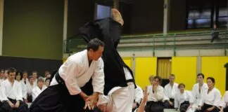 aikido