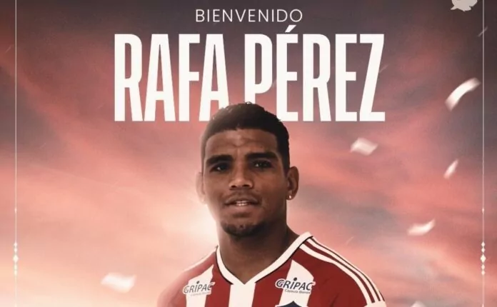 rafaperez