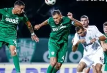 beroe ludogorets