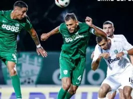 beroe ludogorets