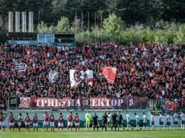 cska fenove