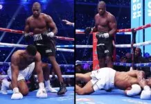 daniel dubois anthony joshua