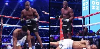 daniel dubois anthony joshua