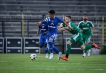 levski botev vraca everton bala