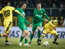 botev plovdiv ludogorets